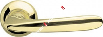 Ручка дверная раздельная Armadillo Pava LD42-1GP/SG-5